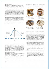 水中ポンプにおける最大通過粒径について②